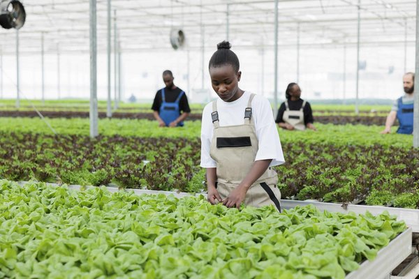 Quelle est la méthode la plus simple pour poser du papier peint ?